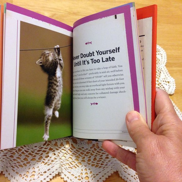 Cat Humor Book, cat advice - You need more sleep - Picture 8 of 8